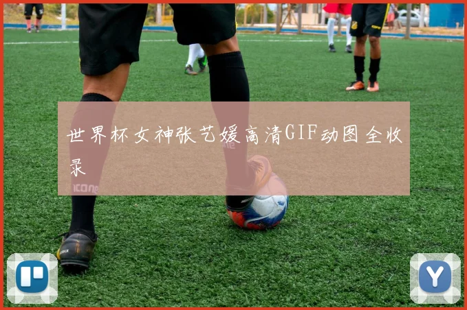 世界杯女神张艺媛高清GIF动图全收录